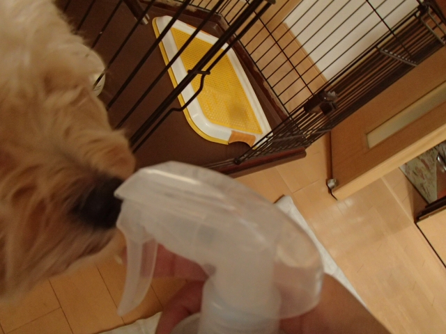 口コミ：ペットの専門店コジマのペット用消臭剤　モニター当選しましたの画像（3枚目）
