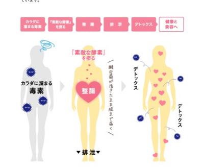 口コミ：おすすめ！酵母菌入りプレミアム酵素「素敵な酵素」の画像（4枚目）