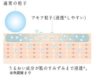 口コミ：
  忙しい朝用スキンケアを冬支度！プモアミルキーローション+モイストクリーム
の画像（3枚目）