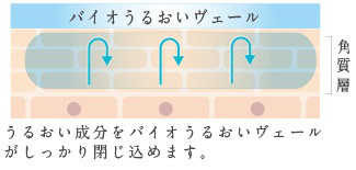 口コミ：
  忙しい朝用スキンケアを冬支度！プモアミルキーローション+モイストクリーム
の画像（4枚目）