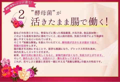 口コミ：株式会社かたおか 熱にも強い酵母菌入りプレミアム酵素「素敵な酵素ドリンク」の画像（5枚目）