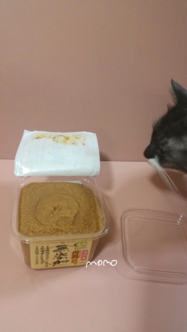 口コミ：円熟こうじみそで豚肉の味噌漬け♡ネコちゃんクンクンチェック中の画像（1枚目）