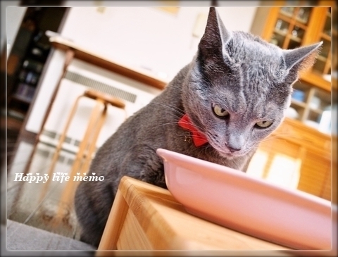 口コミ：銀のスプーン「食事の吐き戻しを軽減するフード」のお試しだニャの画像（2枚目）