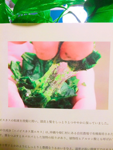 口コミ：②オルタニカスカルプエッセンス 頭皮の痒み対策中！の画像（2枚目）