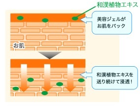 口コミ：明色 和漢粧 ウォーターパックジェルの画像（2枚目）