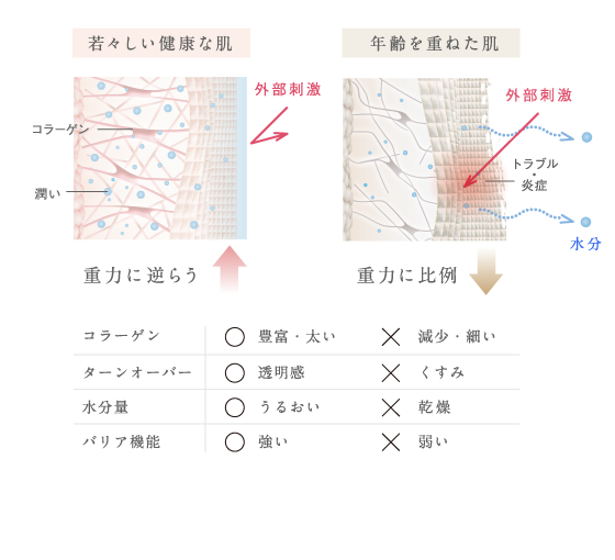 口コミ：～【モニター品】アオの力で肌力底上げのブースター美容液part②～の画像（3枚目）