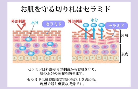 口コミ：＊人の肌に最も近いセラミドを使ったクリーム＊ ナチュセラクリームの画像（2枚目）