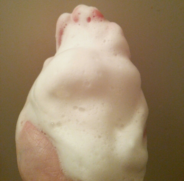 口コミ：豆乳石鹸♡目指すは京美人のキメの整ったなめらか美肌♪の画像（4枚目）