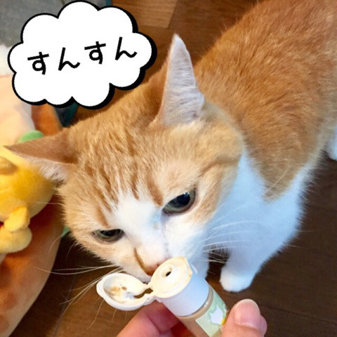 口コミ：ねこ姫 またたび ふりかけタイプの画像（3枚目）