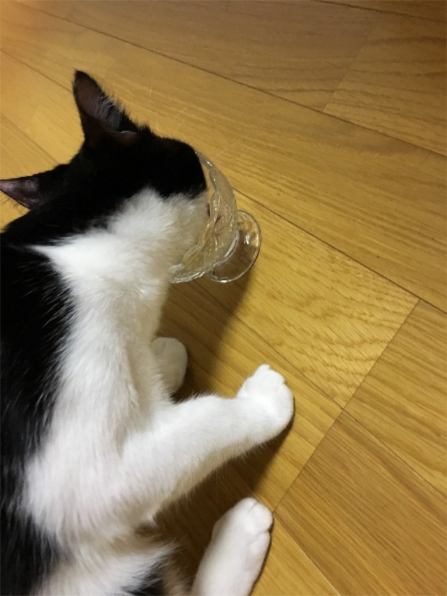 口コミ：またたび ねこ姫の画像（5枚目）