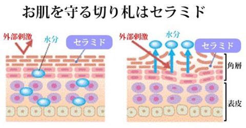 口コミ：敏感肌の為に作られた優しく潤うクリーム☆ナチュセラライトの画像（2枚目）