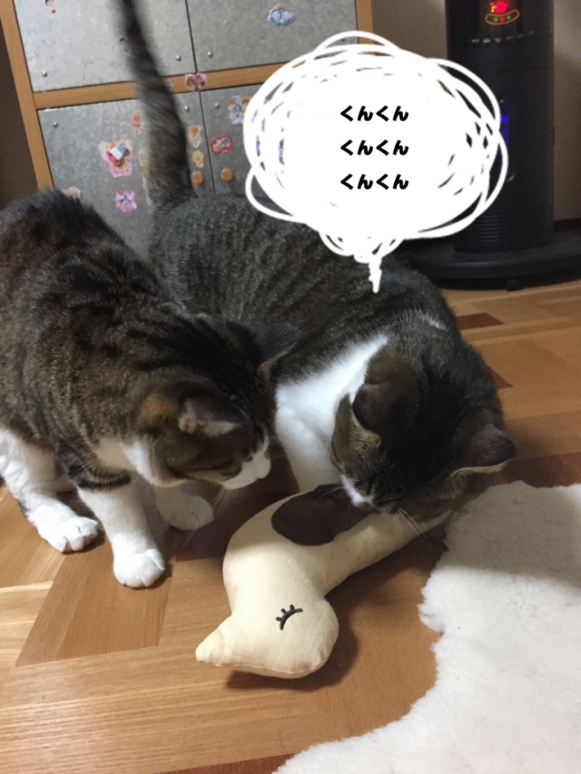 口コミ：猫にまたたび＊モニプラ当選商品＊の画像（4枚目）