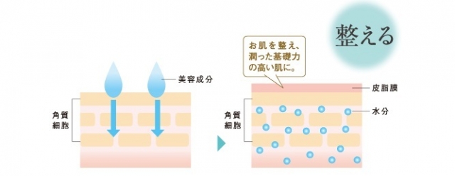 口コミ：【274】フィルアップモイスチュアローション みずみずしい肌のために♪の画像（6枚目）