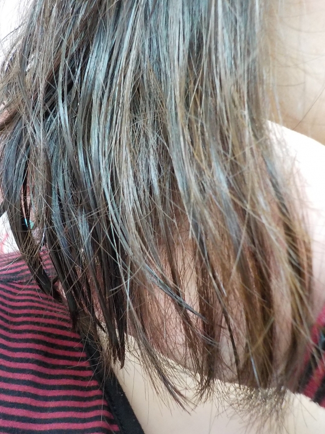 口コミ：特にパサつく髪に！大島椿　〜天然の椿油100%のチカラ〜の画像（12枚目）