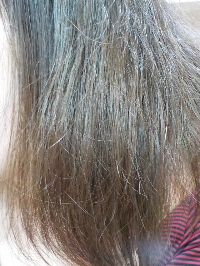 口コミ：特にパサつく髪に！大島椿　〜天然の椿油100%のチカラ〜の画像（9枚目）