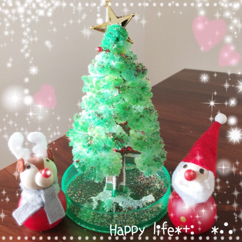 口コミ：Magic Christmas tree⍣の画像（1枚目）