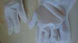 口コミ：シャンプー手袋♪ | white rose♪のブログ - 楽天ブログの画像（4枚目）