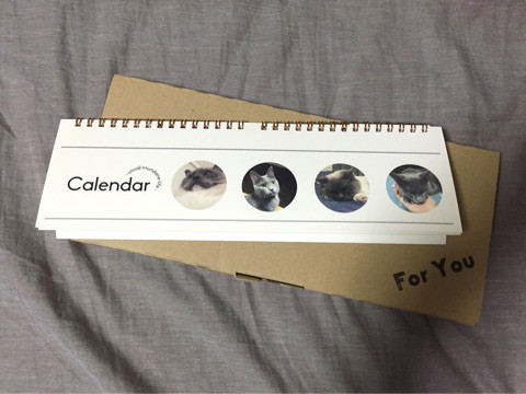 口コミ：【モニターレビュー】Calendar by MYBOOK LIFEの画像（2枚目）