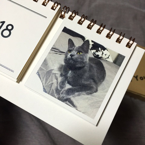 口コミ：【モニターレビュー】Calendar by MYBOOK LIFEの画像（12枚目）