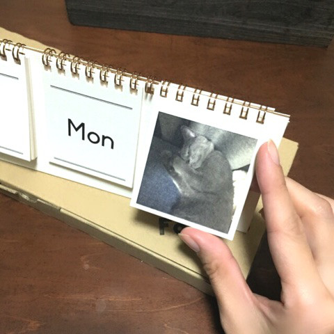 口コミ：【モニターレビュー】Calendar by MYBOOK LIFEの画像（8枚目）