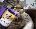 口コミ：猫モニター：シーバ とろ～り メルティの画像（5枚目）