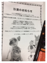 口コミ記事「～ネコちゃんと一緒に遊べるおやつ～シーバとろ～りメルティモニター報告」の画像