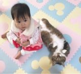 口コミ記事「猫ちゃん除菌消臭ケア♡」の画像