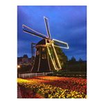 そういえば昨日ハウステンボス行ってきた💛フェス楽しかった⤴︎ ⤴︎ #HTB #housetenbosch #ハウステンボス #windmill #風車 #長崎 #flowers #night #…のInstagram画像