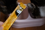 口コミ：ネコたちの美味しいおやつ「シーバとろ～りメルティ」 | ＮＥＣＯといっしょに暮らしています♪ - 楽天ブログの画像（5枚目）
