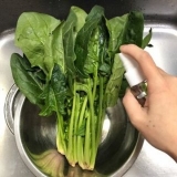 口コミ：野菜洗いのベジセーフで安心安全な食生活を☆の画像（2枚目）