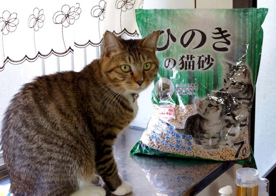 口コミ：【ネコ砂】 コジマオリジナル ひのきの猫砂の画像（1枚目）