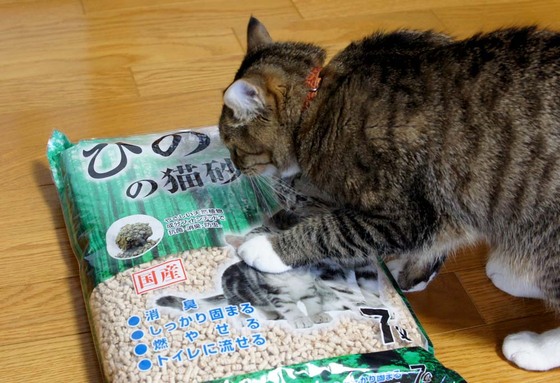 口コミ：【ネコ砂】 コジマオリジナル ひのきの猫砂の画像（3枚目）