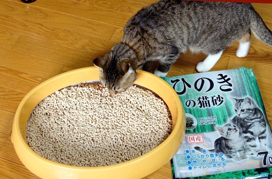口コミ：【ネコ砂】 コジマオリジナル ひのきの猫砂の画像（4枚目）
