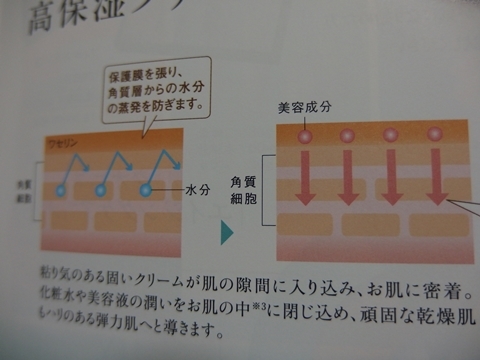 口コミ：リッチでコクのある高保湿クリーム！！の画像（2枚目）