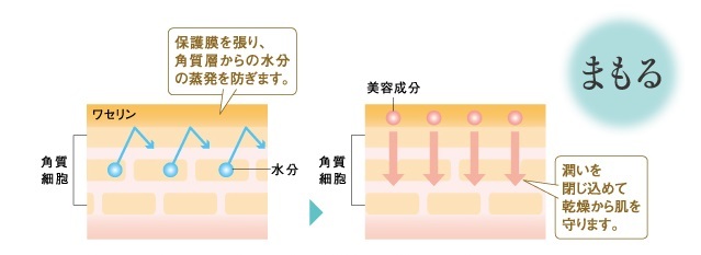 口コミ：【295】 プレミアムセルフィットクリーム　乾燥肌の方は必見！の画像（5枚目）