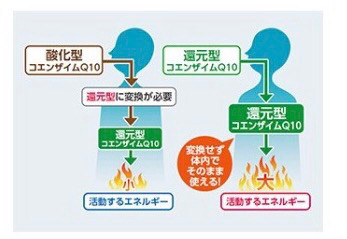 口コミ：
  疲労対策&エイジングケアの決定版☆日本予防医薬・イミダペプチドQ10
の画像（4枚目）