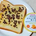朝ごはん。トーストにソントンさんの機能性表示食品のはちみつスプレッドをぬって、カカオニブをトッピング。はちみつスプレッド、普通のはちみつ🍯みたいに甘くて美味しい。#朝ごはん #…のInstagram画像