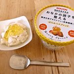 お友達がお豆腐なのにチーズケーキを食べてるみたいだとハマっている#相模屋 #マスカルポーネのようなナチュラルとうふ を買ってきてくれました！ 付属のオリーブオイルもイイけれど #ソントン #は…のInstagram画像