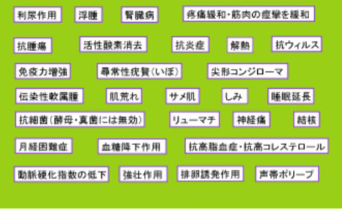 口コミ：532 1日65円で内面から綺麗に。の画像（2枚目）