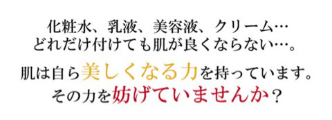 口コミ：
  これ１本でOK！スキンケアのミニマリストで肌の力を取り戻そう！☆ミニマリスト ビオフォース☆①
の画像（2枚目）