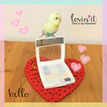 .メル:モニプラさんから届いた『9colors ハイライトパレット』で、ママがオシャレしてるぞ！🐥💞😊MERU:Mamma completa  con のInstagram画像