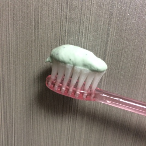 口コミ：【歯磨き粉】ミントチョコ歯磨き粉の画像（3枚目）