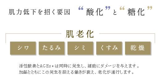 口コミ：東京農工大学との共同研究成分入りの美容液の画像（5枚目）