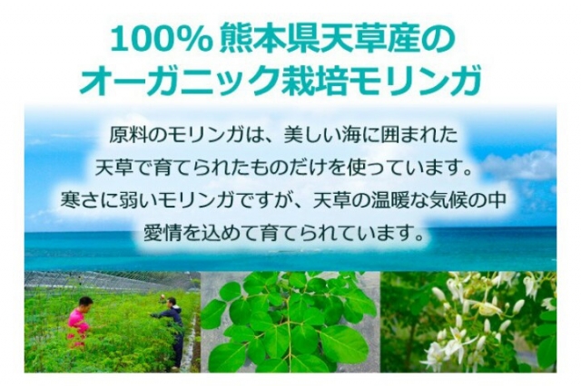 口コミ：
  100％熊本県産スーパーフード☆オーガニック栽培モリンガ☆いちごチョコケーキ作りました♪
の画像（1枚目）