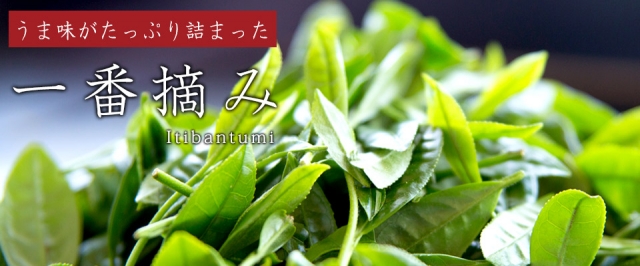 口コミ：ハラダ製茶の静岡産深蒸し茶「茜富士」でほっこり緑茶タイム♪の画像（3枚目）