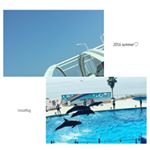 去年の夏の思い出♡去年は日焼け止めをしっかりせずに顔だけしかしてなかったな…最近ある人が手もしっかり保湿・日焼け対策しないと一番年齢が出やすい場所だから抜かりなく！と言って…のInstagram画像