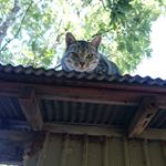 #ayura #アユーラ #ウォータフィールUVジェル #乾燥 #monipla #アユーラファンサイト参加中のInstagram画像