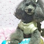 少し前に@butch.japan さんのモニターが当たったの🎵何度か食べたことがある無添加のドッグフード🍴とっても美味しくてあたしの大好きなもの❤今回はブルーレベルの犬猫兼用のブッチだったよ✨…のInstagram画像