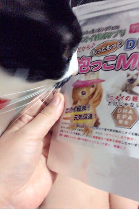 口コミ：愛犬・愛猫ちゃんのニオイを軽減！『抱っこMe DE+』☆の画像（4枚目）