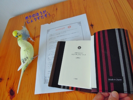 口コミ：モニプラ☆『amorph 本当に本を護るブックカバー』＆ルルメルのホワイトデー♪の画像（3枚目）